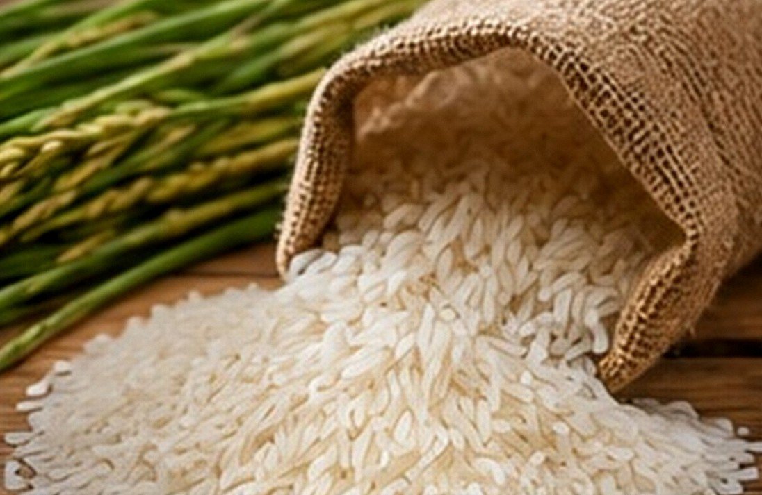 Rice